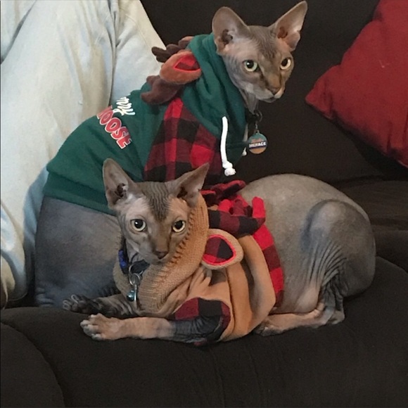 OUR CLOSET RULES - Picture 4 of 9